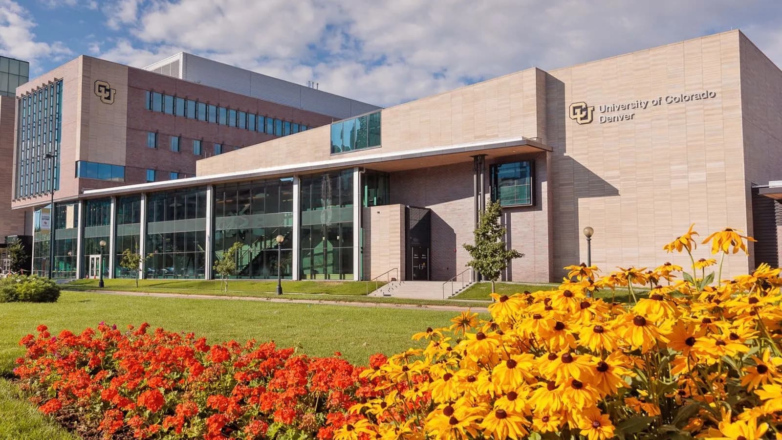 CU Denver receives UGC letter of intent for Hyderabad campus, first cohort to start in 2027