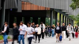 Regional universities