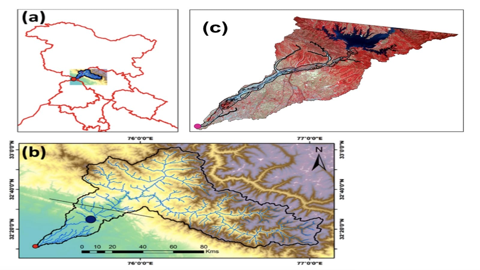 Research on changes in Ravi River surface-water area and floodplain vegetation following the start of Ranjit Sagar reservoir operations.
