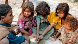 Global Hunger Index 2026 India ranking infographic showing 100th rank, 24.1 score and 19% child-wasting rate.
