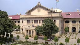 Allahabad High Court order directing UP STF to verify educational certificates of Classes 1 to 8 government school teachers.
