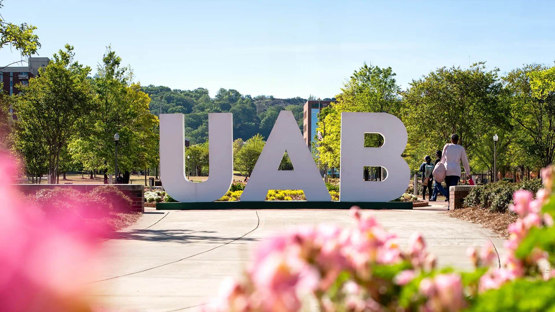 Can AI transform healthcare management? IIM Jammu and UAB, US join hands for research