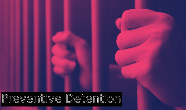 Ensuring Checks on Preventive Detention: Upholding Personal Liberty