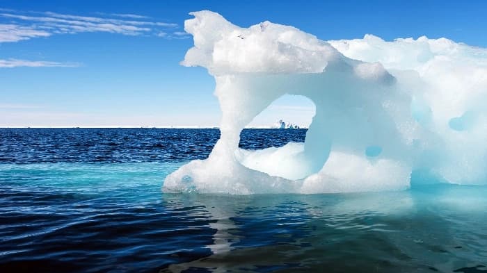 Deep-sea ecosystems flourish in Antarctica after an iceberg breaks away from the George VI Ice Shelf