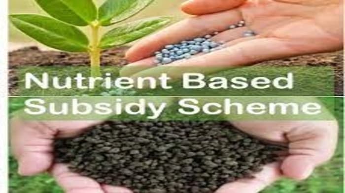 The Fertilizers Committee Warns About Underfunding of the Nutrient Subsidy Scheme (NBS)