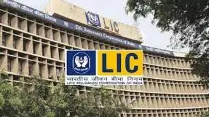 LIC says its investments in Adani firms were independent after due diligence