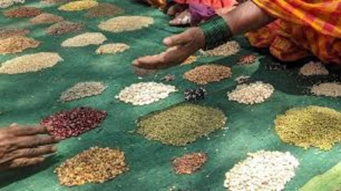 Why a New Seeds Bill? Issues with Quality, Price, Control