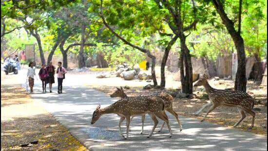 Sanjay Gandhi National Park