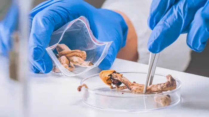 University of Alberta