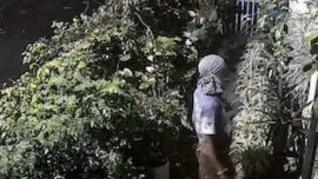 Madhya Pradesh Congress chief