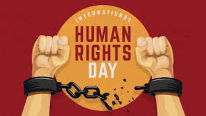 Human Rights Day Observed Globally