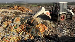 food safety violations