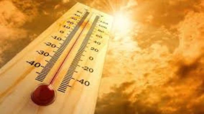 Delhi braces for another spell of scorching heat as IMD warns of dust storms and strong winds
