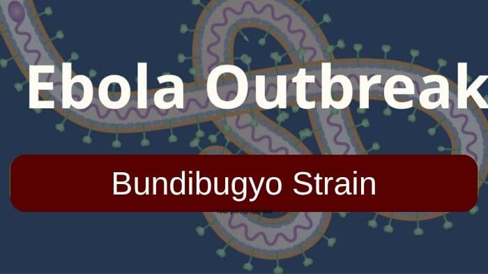 Uganda returnee isolated in Bengaluru amid Ebola concerns, no case confirmed yet