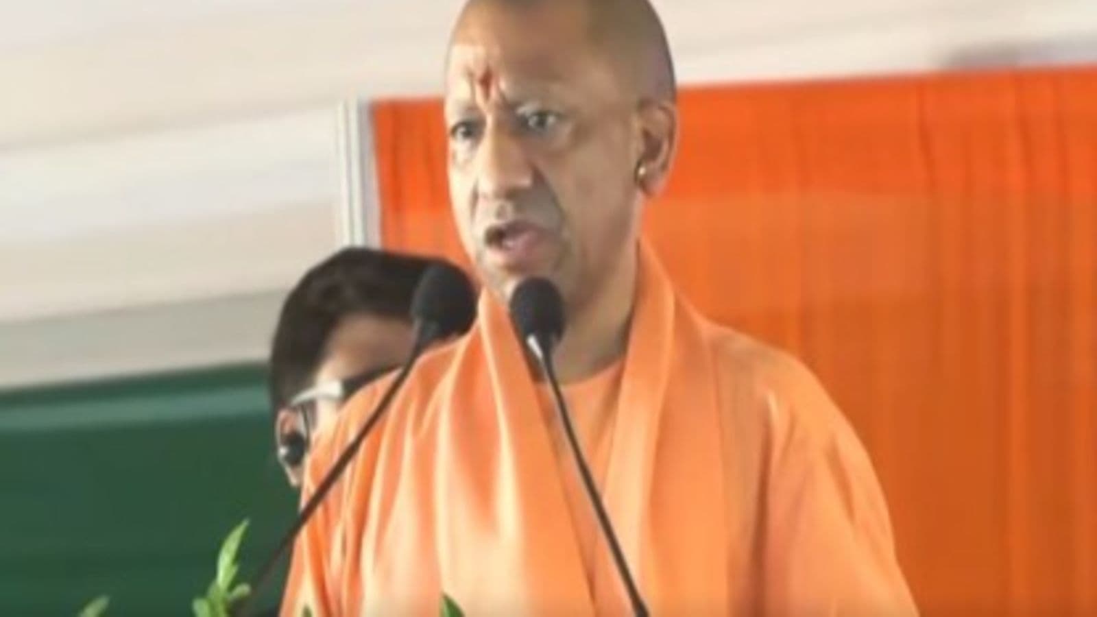 yogi