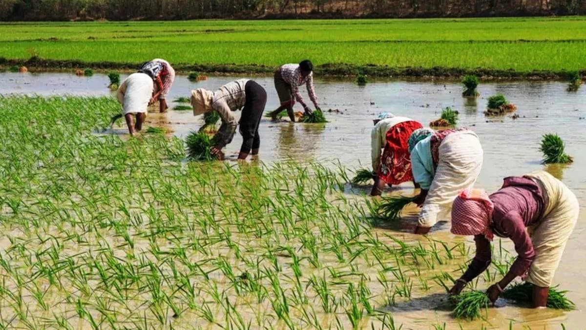 ICAR signs MoU with Seychelles to boost agricultural research and education cooperation