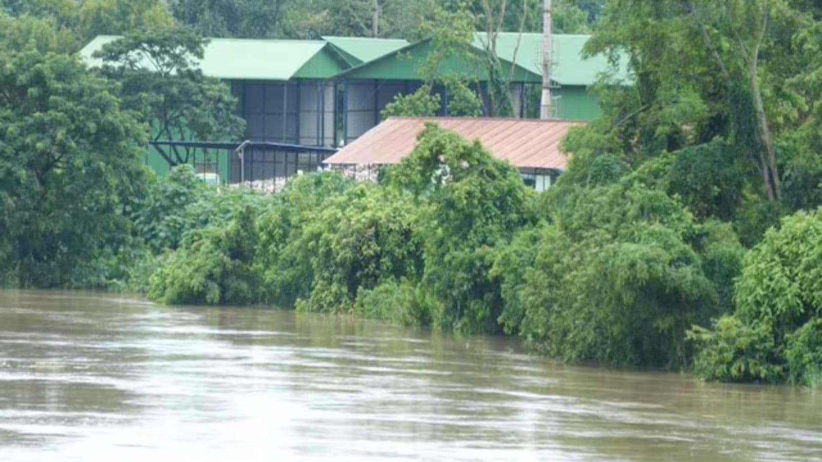 Assam flood