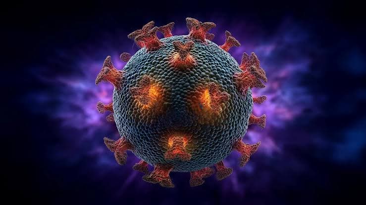 Gujarat reports 41 Chandipura virus cases, 27 deaths amid rising outbreak