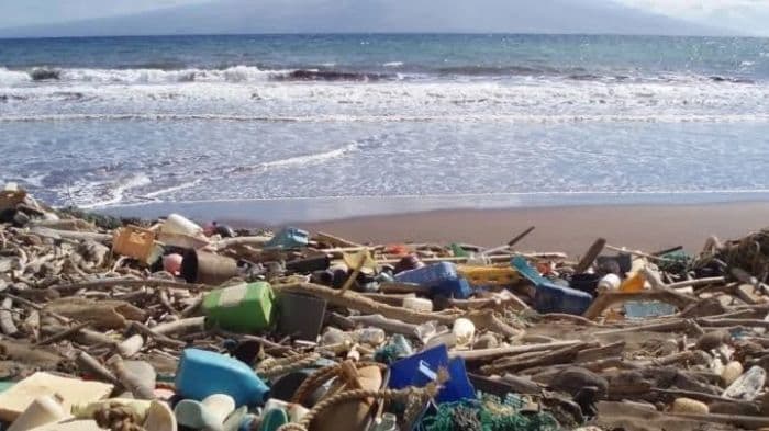 Wales backs tighter controls on persistent pollutants, with new rules due in December