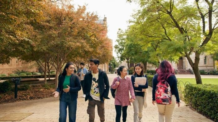 Australia’s international student decline hits vocational and English-language courses harder