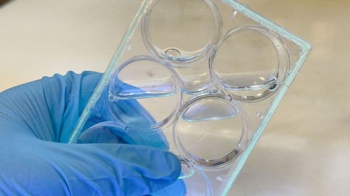 NTU researchers develop light-activated compounds for safer 3D printing