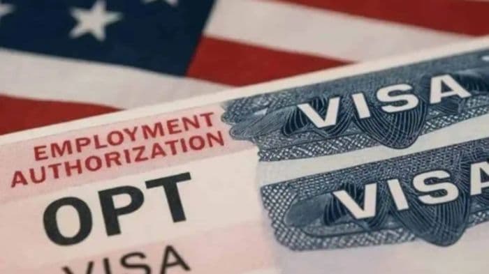 US OPT restrictions could affect innovation and jobs, researchers warn