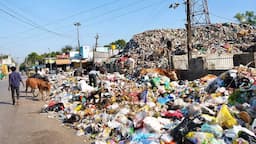 Mumbai Introduces AI-Powered Cameras to Stop Garbage Dumping in Public Places; BMC Plans Wider Surveillance